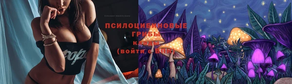 эйфоретик Алзамай