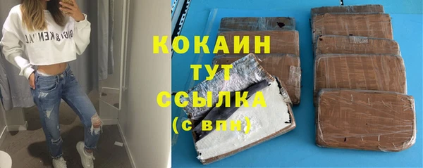 соль ск Алексин