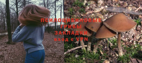 соль ск Алексин