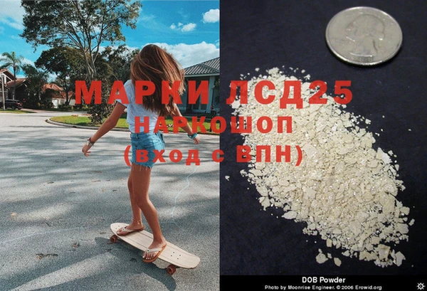 эйфоретик Алзамай
