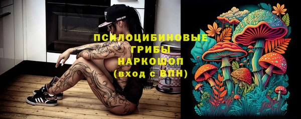 эйфоретик Алзамай