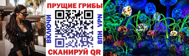 Псилоцибиновые грибы мицелий  Купить закладки  Стародуб 